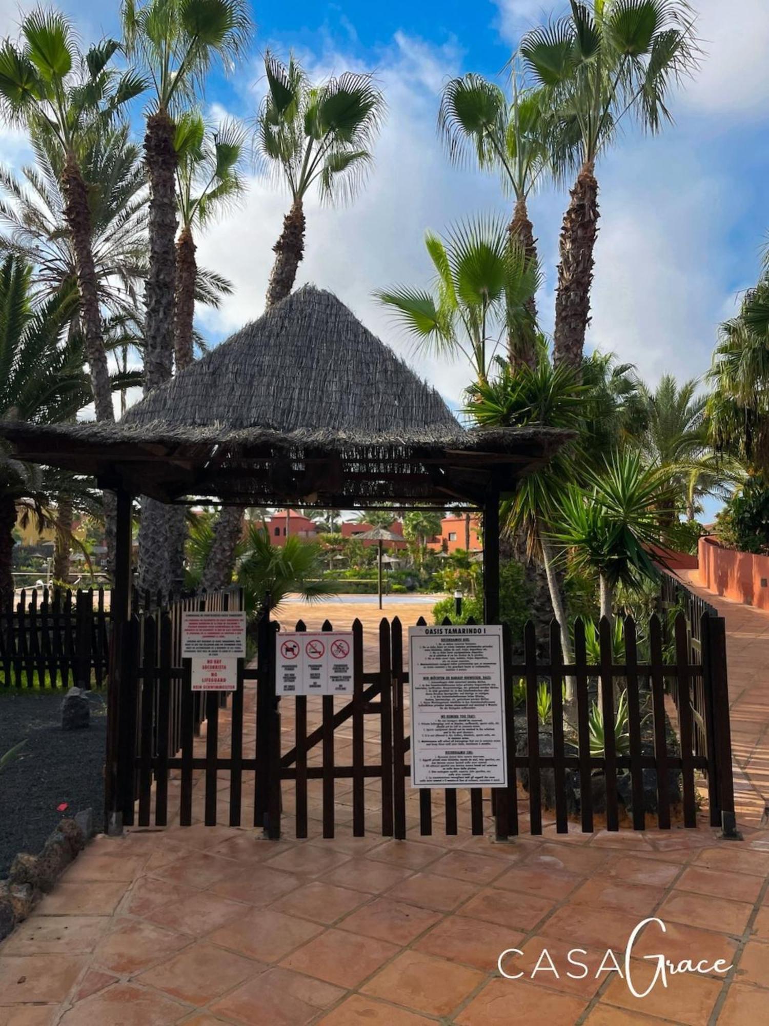 Tamarindo 1 Casa Grace Wifi Free Pool View By Rentalfue Corralejo Exteriör bild