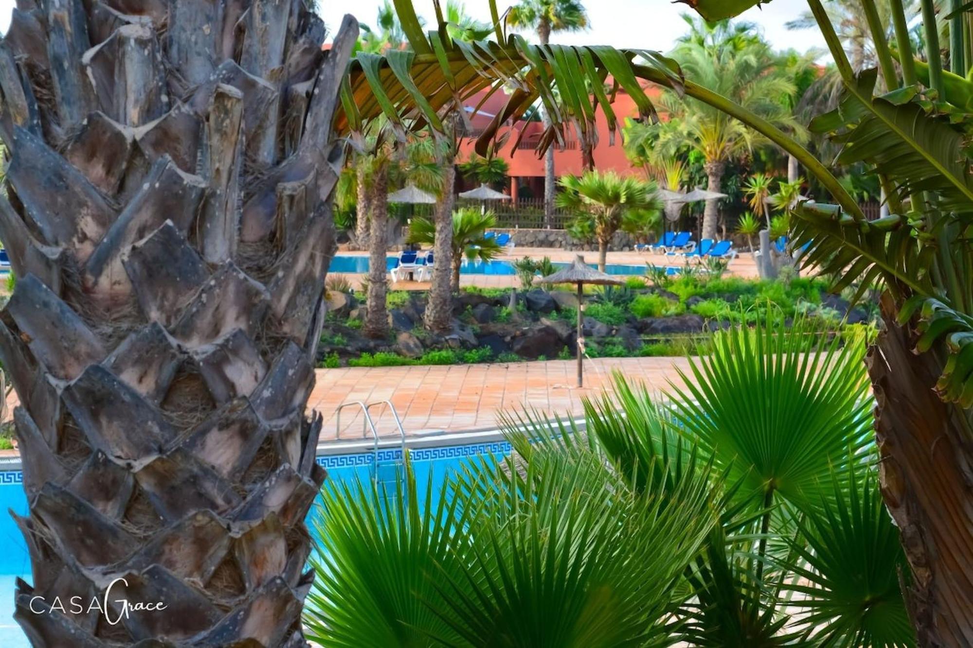 Tamarindo 1 Casa Grace Wifi Free Pool View By Rentalfue Corralejo Exteriör bild